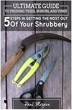 Ultimate Guide To Pruning Trees, Shrubs, And Vines: 5 Steps In Getting The Most Out Of Your Shrubbery