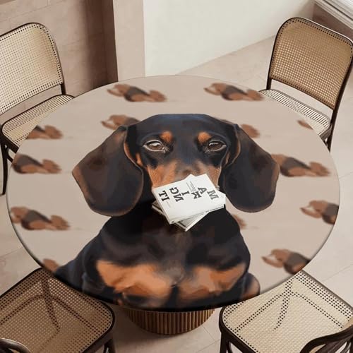 Nappe ronde élastique teckel imperméable et extensible pour table de repas ronde - 6