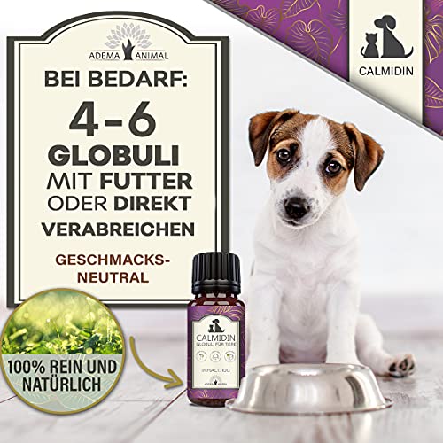 Adema Animal® - Calmidin Globuli zur Beruhigung für Tiere - Relax Globuli mit Baldrian gegen Stress und Angst/innere Unruhe - natürlich sanftes Beruhigungsmittel für Hund und Katze - 10g Inhalt