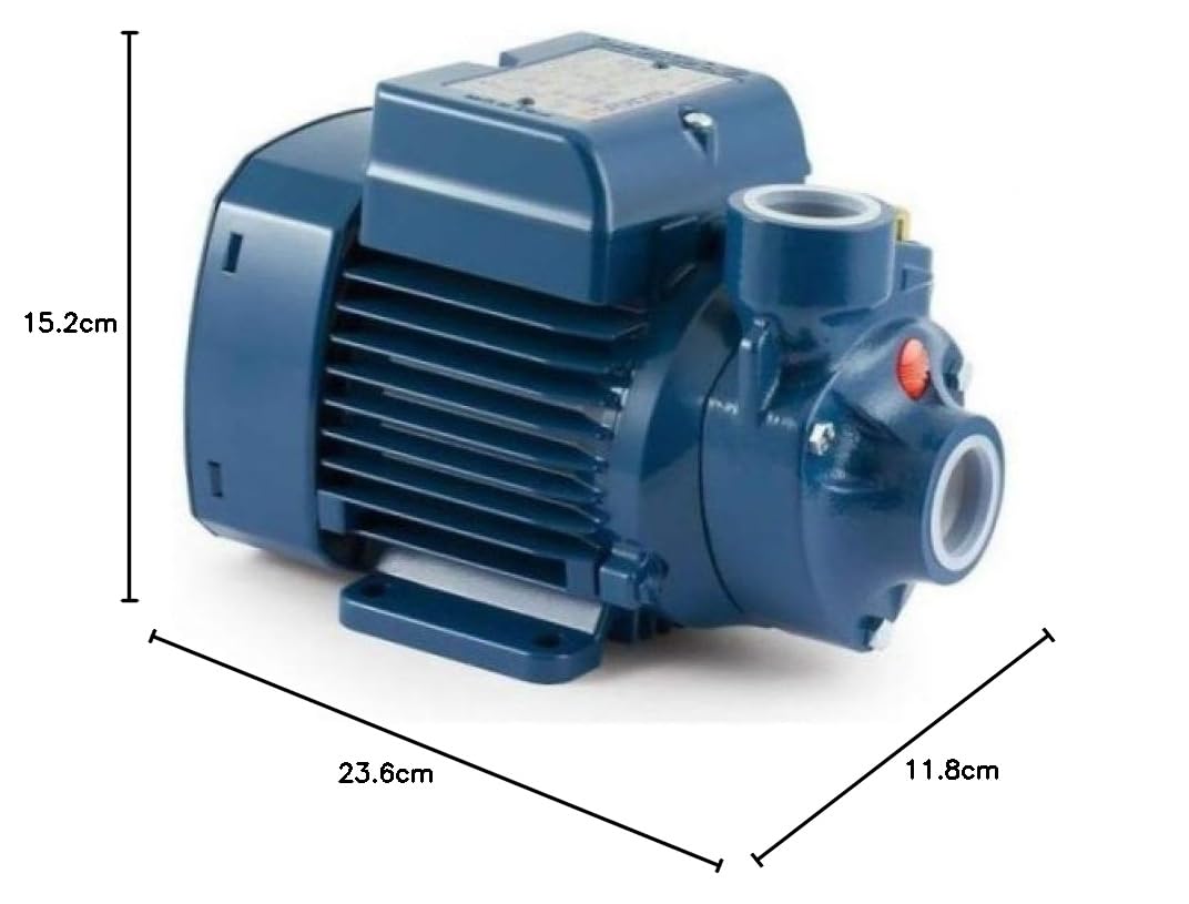 Electric Peripheral Water PK Pump PKm65 0,7Hp Brass impeller 240V Pedrollo by Pedrollo