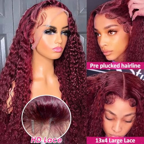 Image of Pizazz 99J HD Lace Front Wigs Human Hair Pre Plucked Pre Bleached