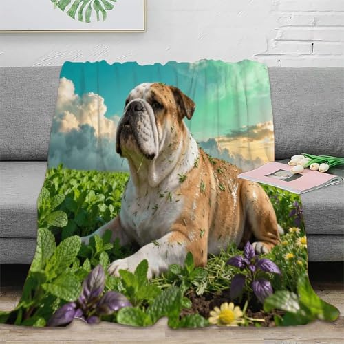 WXLWHR Manta De Felpa Bulldog Inglés, Manta para Sofá con Diseño De Campo de Esmeralda, Mullida Suaves Y Cálidas Manta Decorativa Adecuado para Sala De Estar O Sofá 50x60inch(127x152cm)