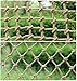 Hynet Climbing Netting for Playground, Children Safety Netting Railing Rope Net Decoration Plants Fence Protection Heavy Duty Cargo Net Swingset Treehouse Rope Ladder Birds Hammock (Size : 1x2m(3x7ft)