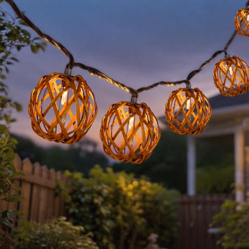 Outdoor Patio String Lights Plug in with 10 Incandescent Bulbs,