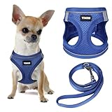 YIMEIS Dog Harness and Leash Set, No Pull Soft Mesh Pet Harness, Reflective Adjustable Puppy Vest for Small Medium Large Dogs, Cats (Royal Blue, X-Small (Pack of 1)