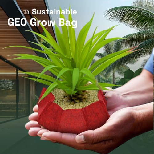 Image of Geo Fabric Grow Bags for Plants 10X3 Inch (Pack of 5) | 400 GSM Heavy Duty UV-Protected Round Maroon Colour Plant Bags for Terrace and Vegetable Gardening | Strong & Reusable|