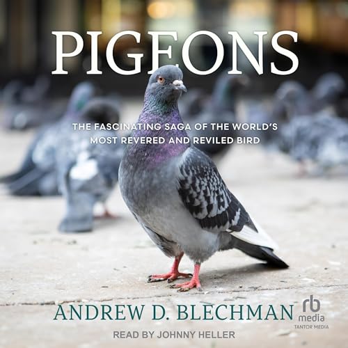 Pigeons by Andrew D. Blechman episode artwork