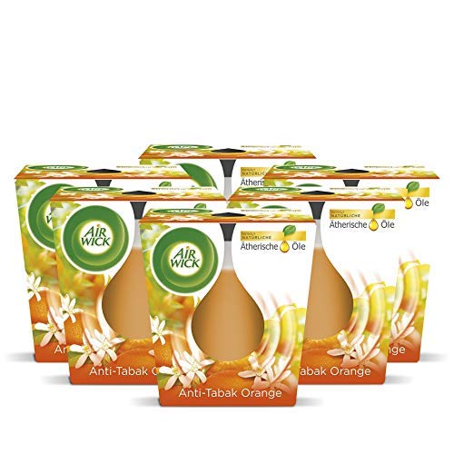 Air Wick Wohlfühl-Duftkerze Anti-Tabak  Duft: orange  Enthält natürliche ätherische Öle  6 x Duftkerze in orange