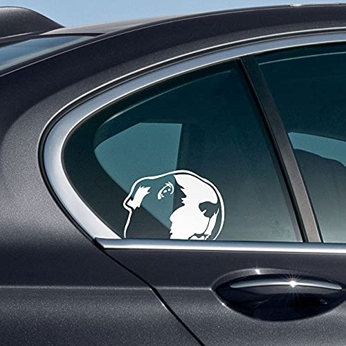 Image of WIRESTER 6 inch Clear Vinyl Decal Sticker Decoration for Car Window (Or Any Flat Surface) - Guinea Pig