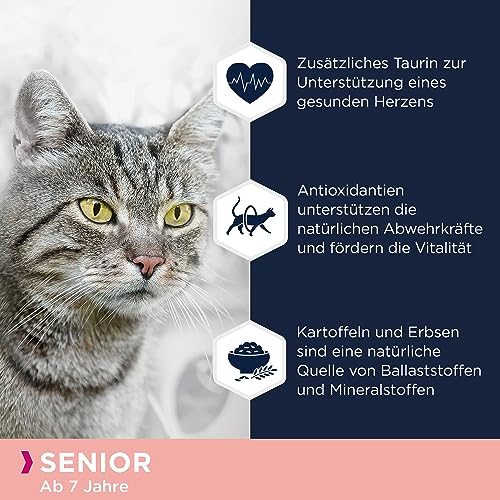 Eukanuba Senior Katzenfutter trocken getreidefrei - Premium Trockenfutter mit viel Lachs für ältere Katzen, 2kg