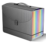 File Organiser Document Organiser Box Files Folder with Handle,13 Pockets Document Folders for Paperwork A4,Concertina File Expanding Filing Box A4 Folder,Paper Receipt and Bills Organiser, 2 x Tabs