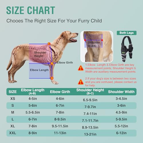 Image of Dog Elbow Protector for Osteoarthritis Canine Elbow and Shoulder Support Dysplasia Elbow Calluses Pressure Sores Dog Front Leg Brace for Better Recovery with Reflective Both Legs XL