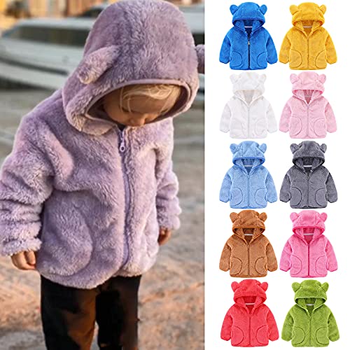 Kids Fleece Sweatshirt Jacket Long Sleeve Thick Warm Hooded Jacket Fall Winter Sweater Outfits (Grey, 3-4 Years)2