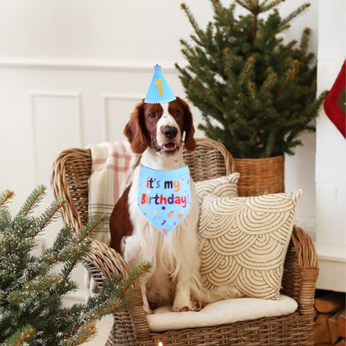 3 Stücke Hunde Geburtstag Deko, Hut Bandana Mütze mit 8 Bling Nummern Krawatte Halstuch Zubehör Set