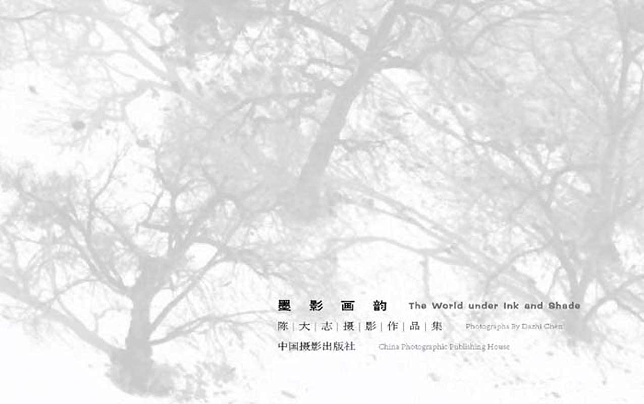 Livre photo Chen Dazhi pour s'inspirer et s'évader du stress