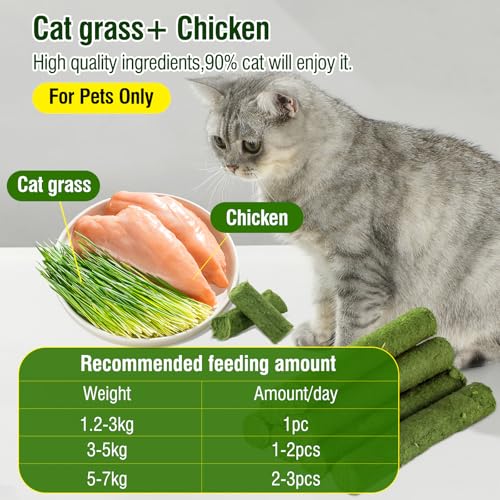 Hkpetie 30G Cat Grass Teething Stick, Delicious Cat Treat Snack Edible Cat Chew Toy For Teeth Cleaning And Hairball Removal In Cats thumb #1