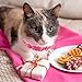 Miiemiu Valentine's Day Cat Collar Set, 4 Pack Pink Heart Pattern Collars with Cute Charms and Bells for Boys Girls Kitties Kittens