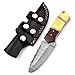 SharpWorld Beautiful Damascus Knife Made of Remarkable Damascus Steel and Exotic Handle -Best Hunting Knife with Sheath TJ102 (Camel Bone & Wood)