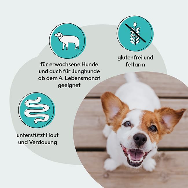 GRAU – das Original – Trockenfutter für Hunde - Lamm, 1er Pack (1 x 12 kg), glutenfrei, für Sensible, Erwachsene Hunde