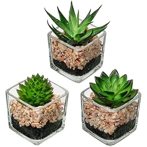 Briful Set of 3 Artificial Succulents in Glass Pots Cover