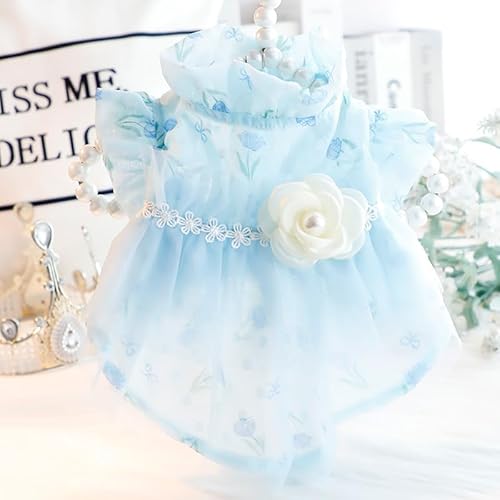 ybg ̕ tĂ̔ ^^ybg vZXXJ[g||XJ[g ̕