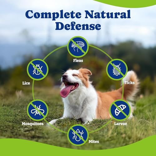 Image of Flea & Tick Prevention for Dogs Chewables,Oral Flea Pills, Dogs Supplement | Natural Dog Flea and Tick Control Treatment, Natural Shield 5-in-1 Protection, Beef & Carrot Flavor, 180 Soft Chews