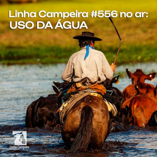 Epis&oacute;dio #556 - O uso da &aacute;gua