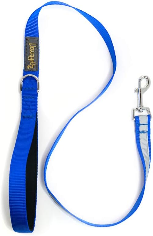 Pet-Safety 4ft Dog Training Leash, Dog Leash for Small Dogs, Dog Leash for Medium Dogs, Night-Protection Reflective Strip, Padded…