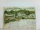 gebrauchte pferdekutschen verkaufen  AK Gruss aus Bornhofen (Kamp-Bornhofen). Schöne alte, farbige Lithographie von 1899. Kirche mit Passanten, Hotel Liefenstein mit Pferdekutsche, Dampflokomotive, Rhein, Schiffe, Weinreben