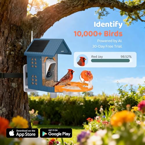 Smart Bird Feeder with Camera Outdoor Birdhouse - image 6