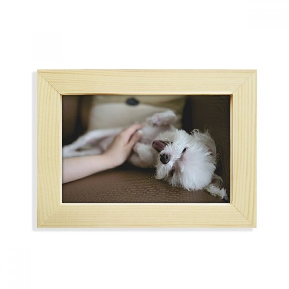Marco de fotos de madera 5x7 pulgadas y pintura artística de perro blanco para mesa y escritorio