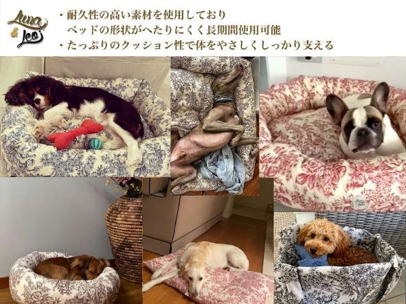 Amazon | レオエルナ 犬猫用ベッド 洗える おしゃれ 頑丈 型崩れし