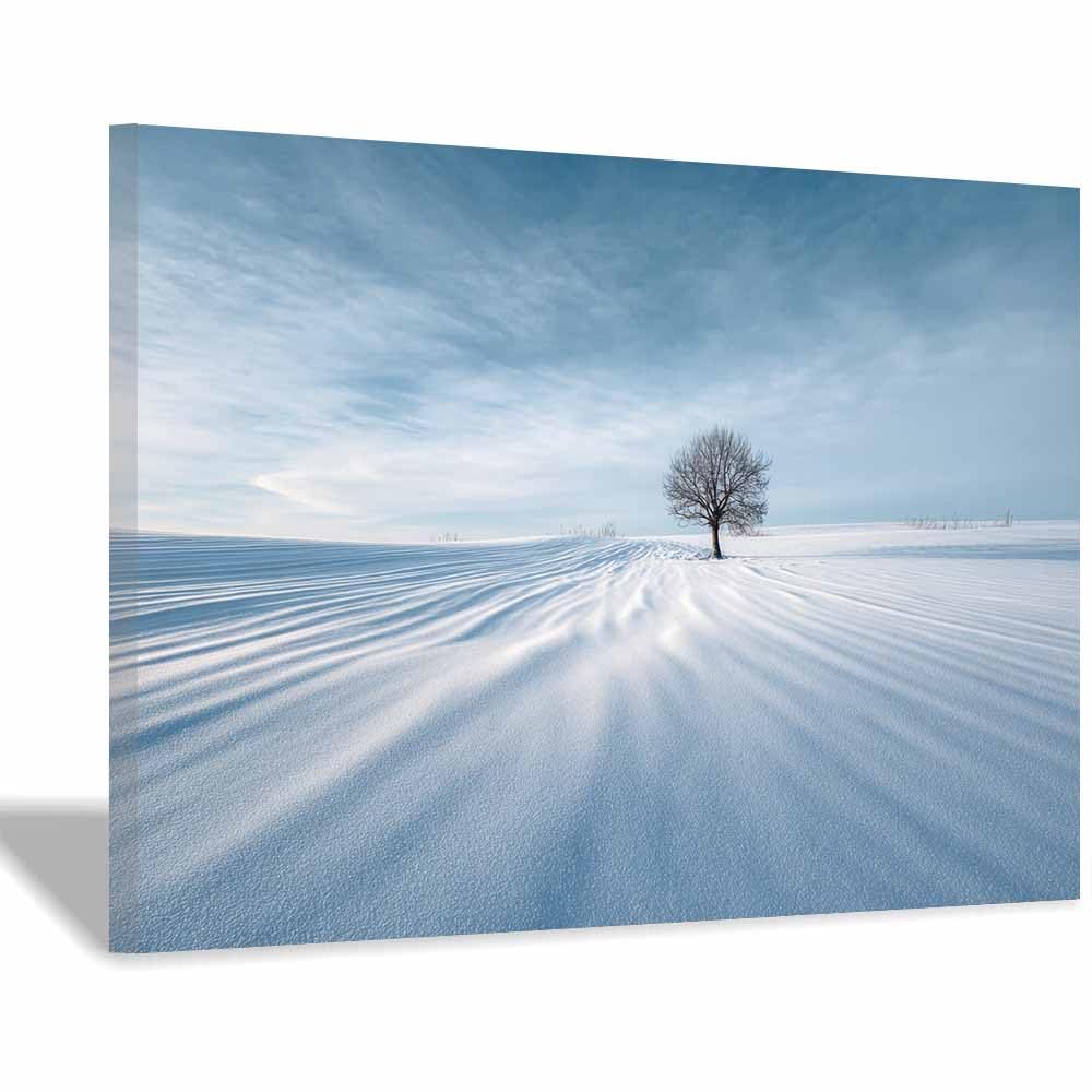 HUYEEI Landscape Wall Art Snowsy trees Modern Canvas Print On Artwork, Suitable for living room, bedroom, for Kids Room Decoretc.(white)-70x100cm Framed