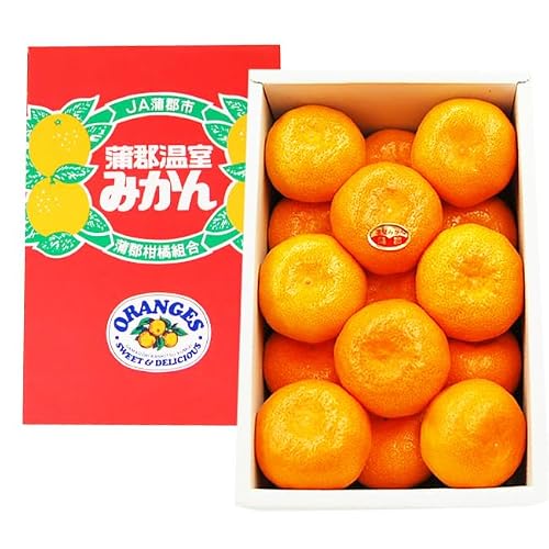 みかん mサイズ」の人気商品一覧 | 安い商品を通販サイトから探す