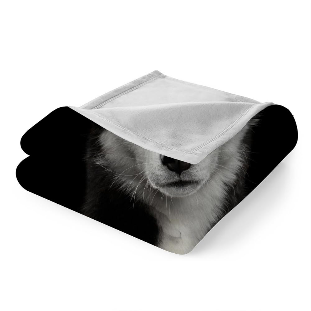 Douce Flanelle Couverture Polaire 3D Chien Husky Microfibre Fluffy Couverture de literie 2 Personne Chien Animal Compagnie Enfant Adultes Fille Garcon Sherpa Couverture de canapé 150x200cm
