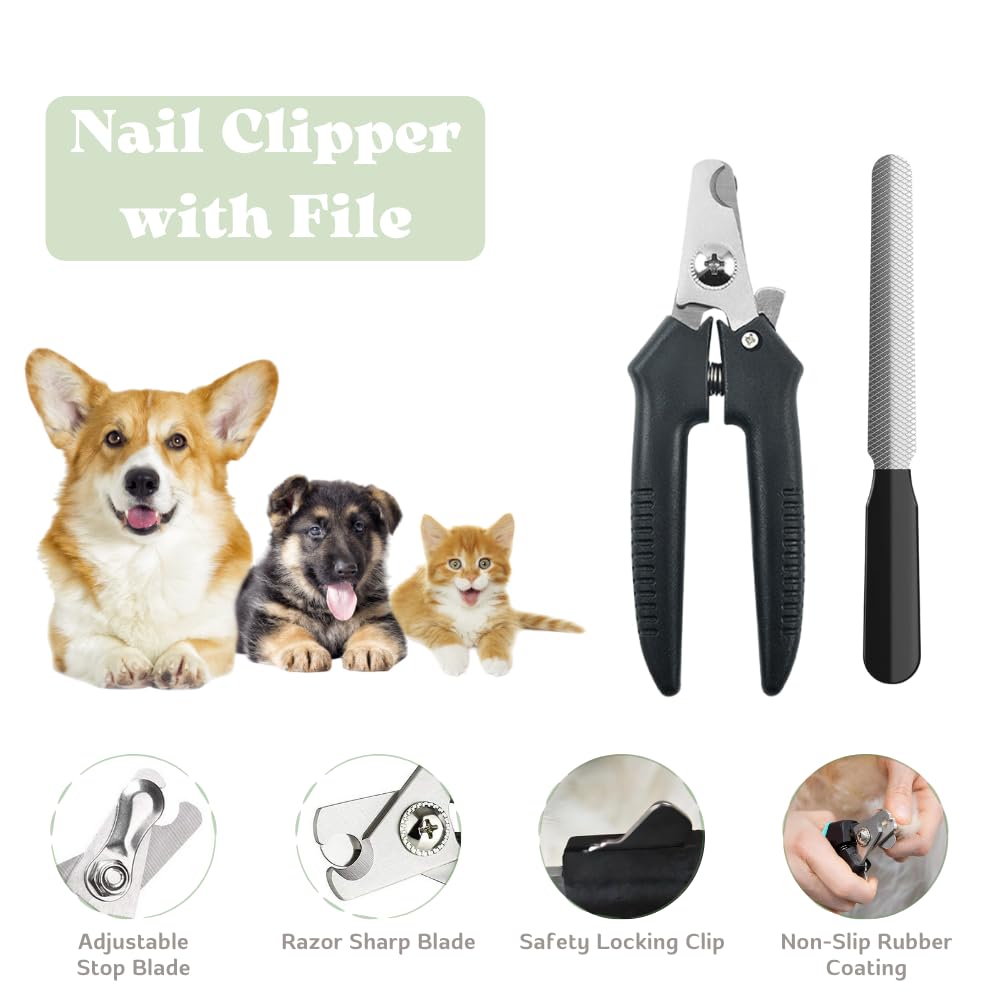 PupLuxe Welpen-Starter-Set – Grünes 22-teiliges Paket, ideal für Hundetraining, perfekt für neue und erfahrene Besitzer