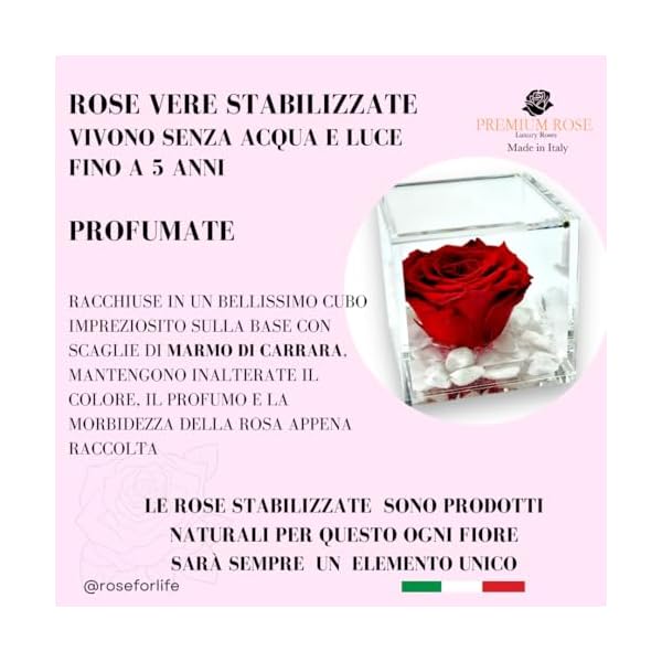 Passionefiori.it Premium-Rose Cubo Rosa Stabilizzata 10cm Vera in Cubo più Spesso, Con Marmo di Carrara, Cubo Rosa stabilizzata, Rosa eterna, Idea Regalo per lei, Natale (Arancione, 10cm) - immagine 8