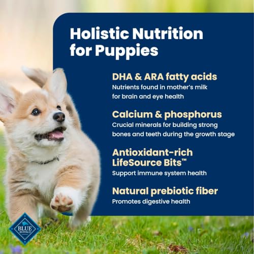 Blue Buffalo Life Protection Formula Lamb Puppy Dry Dog Food, 30 lb - image 4