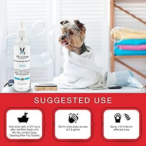 Warren London Deep Cleaning Paw Spray for Dogs | Soothing & Moisturizing Spray with Tea Tree Oil & Aloe Vera | Prevent Paw Licking While On The Go and in Between Paw Soaks | Made in USA Warren London Deep Cleaning Paw Spray for Dogs | Soothing & Moisturizing Spray with Tea Tree Oil & Aloe Vera | Prevent Paw Licking While On The Go and in Between Paw Soaks | Made in USA