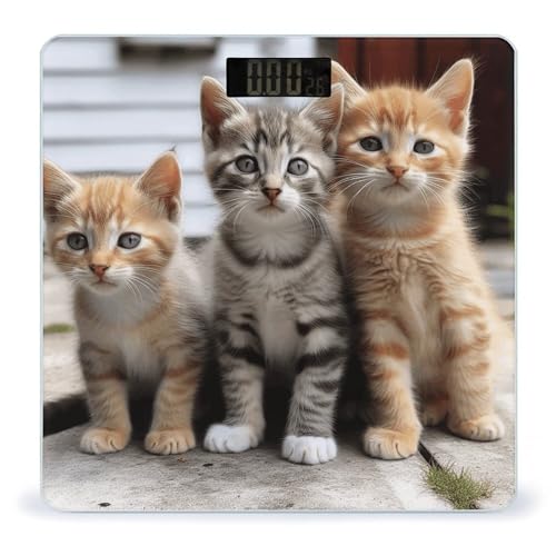 Báscula Digital Corporal Kittens Family Cats de Alta Precisión miniatura 1