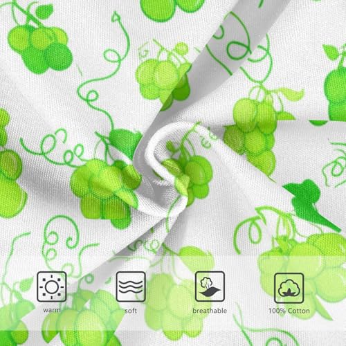 Fruit Grape Toddler Boy's Underwear 2T 23022083