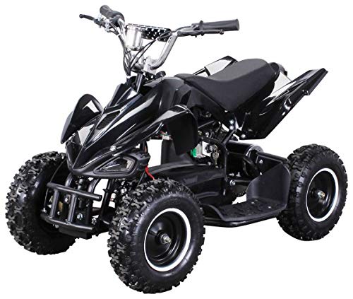 Actionbikes Motors Mini Elektro Kinder Racer 500 Watt ATV Pocket Quad Kinderquad Kinderfahrzeug… (Schwarz)