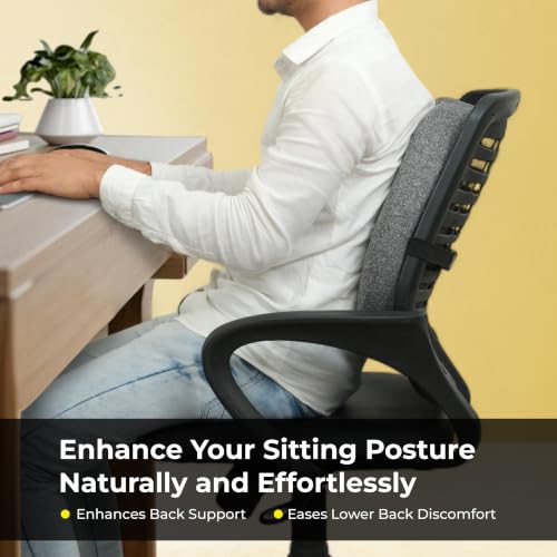 Image of Pro Back Support Cushion for Office Chair - Memory Foam Orthopedic Lumbar Support Backrest for Back Pain Relief, Posture Corrector Cushion with Soft Breathable & Removable Cover