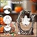 Crirmosir Halloween Swinging Tree Ghost Figurine Cute Ghost on a Tree Swing Halloween Ornament Funny Swinging Ghost Statue for Garden Patio Lawn Table Home Decor (Style-2)