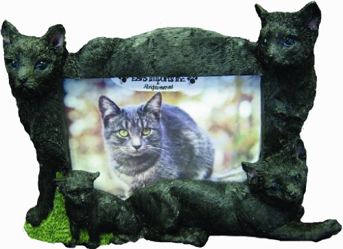 E&S Pets 35297-15 Large Cat Frames