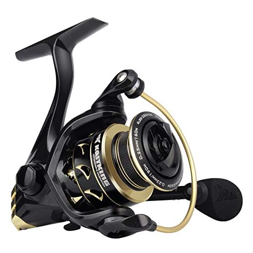KastKing Valiant Eagle Spinning Reels, Black Gold Fishing Reel, Size 3000