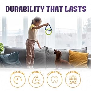 Interactive durable dog chew toys for aggressive small medium large breed chewers indestructible rubber scented chewing triangle ring pull dog toys for teething training or boredom   cucciolini doodles