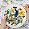 Louise Maelys Peacock Flower Embroidery Kits for Beginners,Cross Stitch Kit for Adults,DIY Needlepoint Kits Including Embroidery Hoop,Instruction and Threads #4