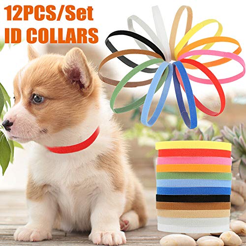 newborn puppy id collars