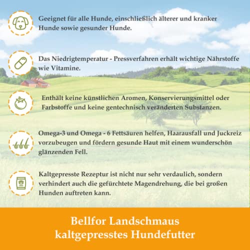 Bellfor Golden Retriever Futter Set Wiesen-Schmaus Trockenfutter 4 kg, Freiland-Menü Nassfutter 400 g & Freiland-Happen 200 g Ohne Getreide & Künstliche Zusätze